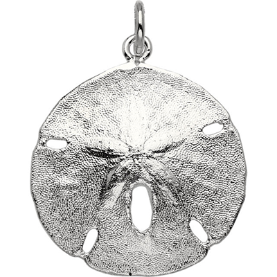 Sand Dollar